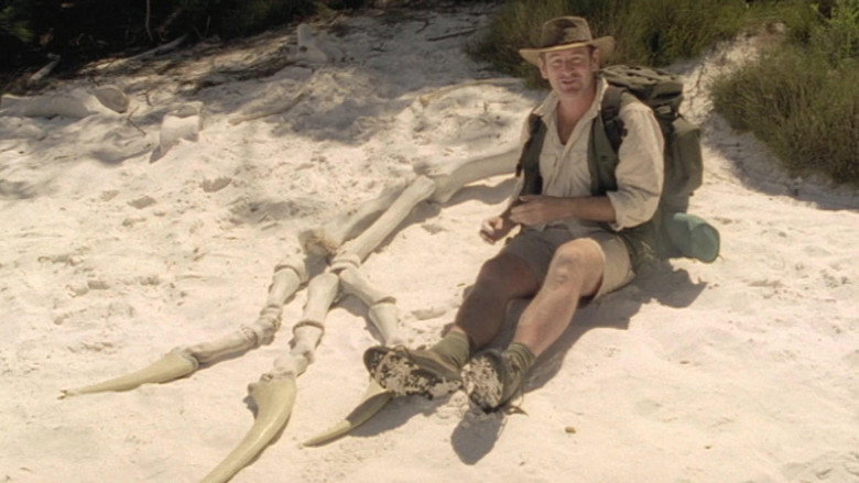 Walking With Dinosaurs Special: The Giant Claw still 3