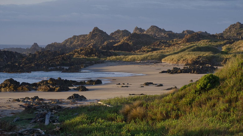 Tasmania’s Wild Treasures still 1