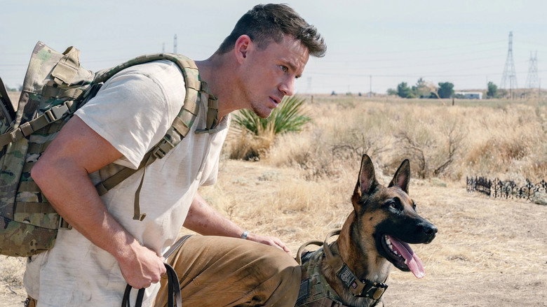 Dog still 3