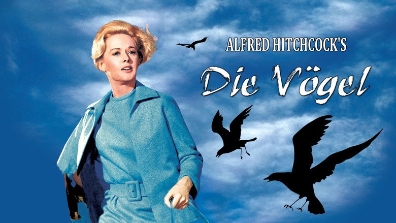 The Birds still 4