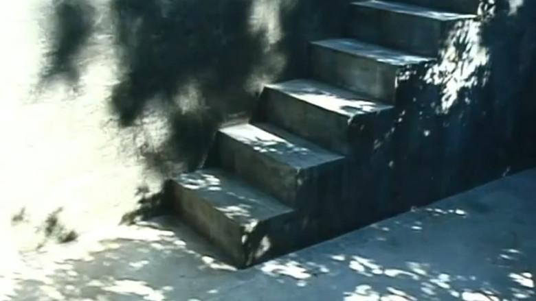 Steps still 2