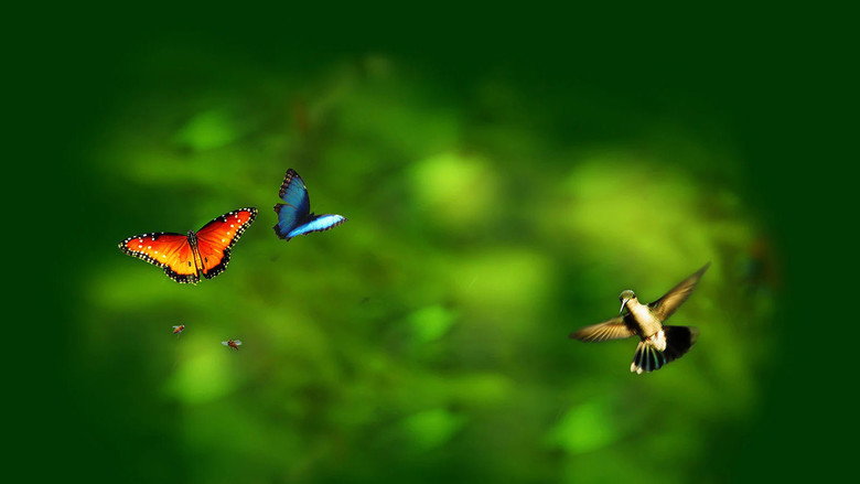 Wings of Life still 2
