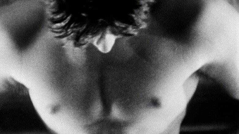 Fireworks still 7