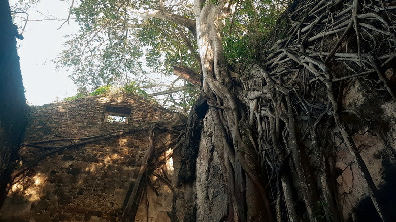 Ilha de Itaparica - Raízes do Brasil still 1
