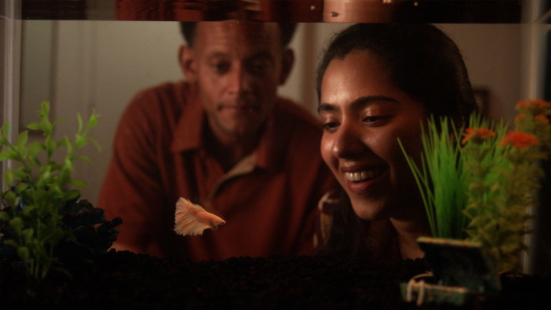 Mr. Bubbles still 2