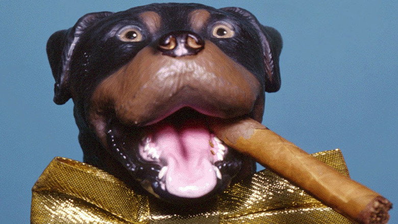 Late Night with Conan O'Brien: The Best of Triumph the Insult Comic Dog still 1