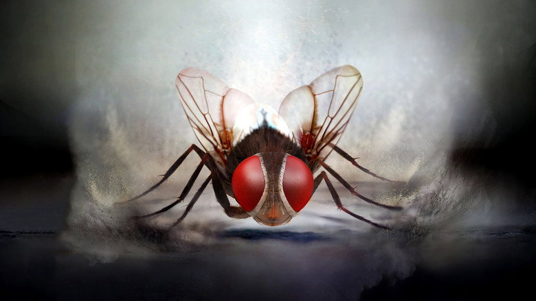 Eega still 1