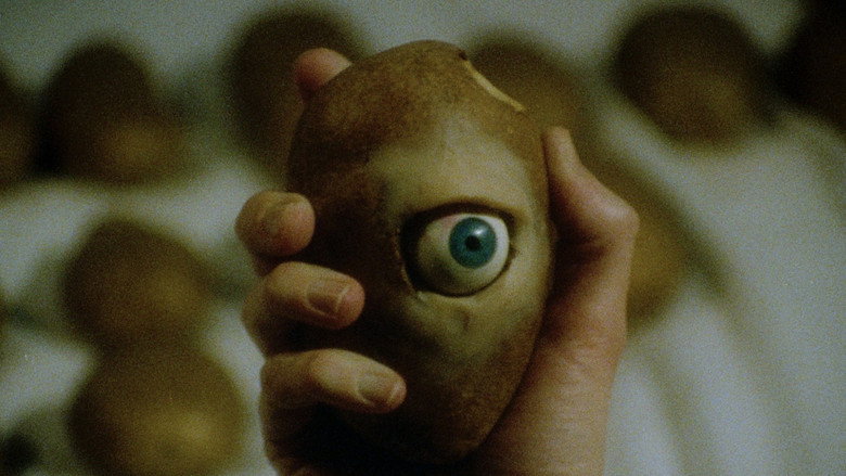 Disembodied still 8