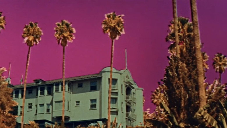 Designing Woman still 4