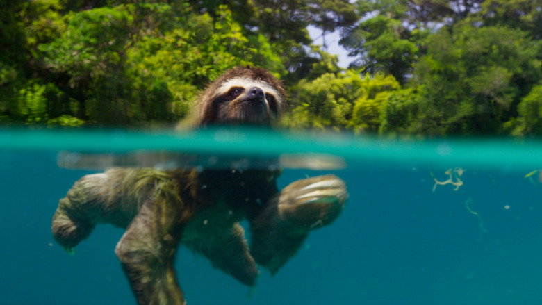 Planet Earth II still 6