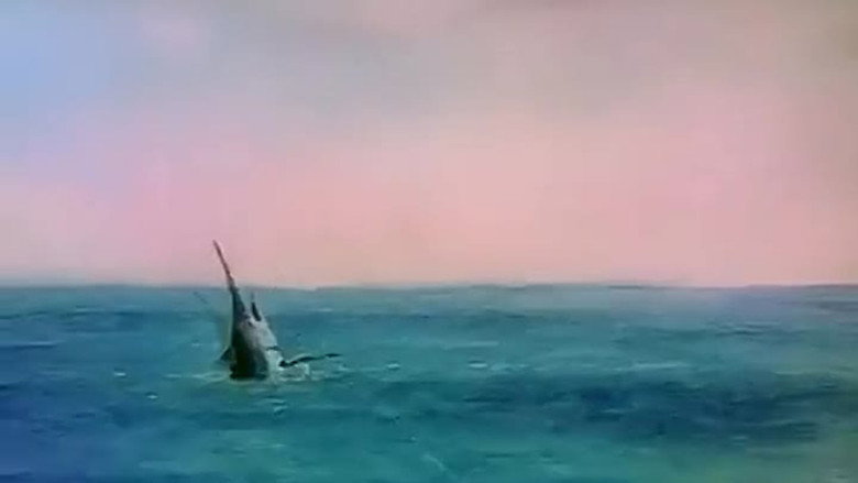The Old Man and the Sea still 5