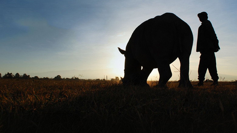 Ol Pejeta Diaries still 1