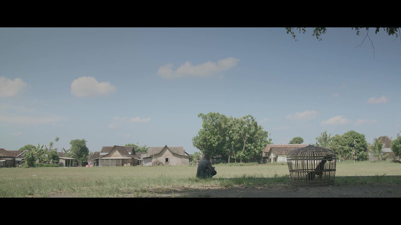The Debtor still 5