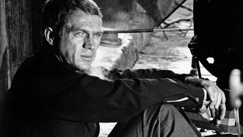 I Am Steve McQueen still 7