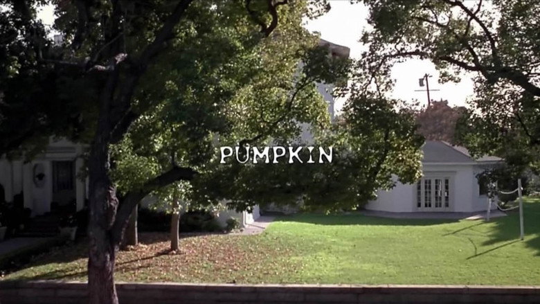 Pumpkin still 8