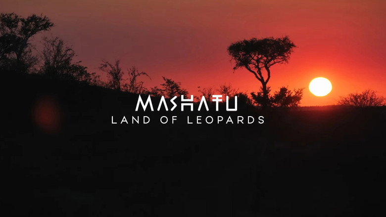 Mashatu: Land of Leopards still 1