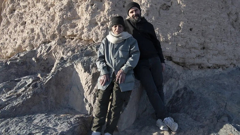Don Quixote still 1