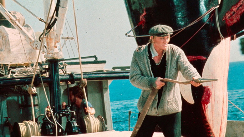 Orca still 7