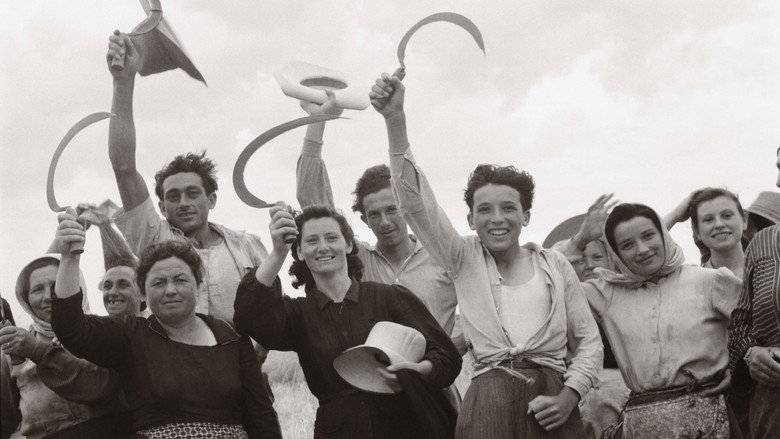 A History of the European Rural Life still 1