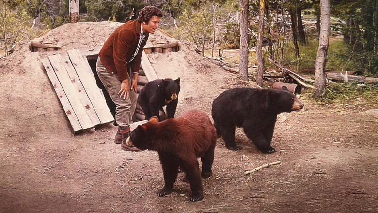 The Bears and I still 2