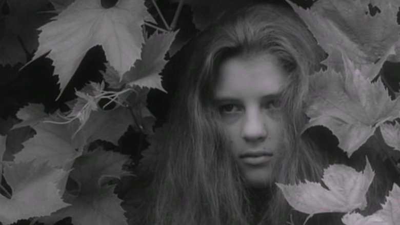 Alice in Wonderland still 1