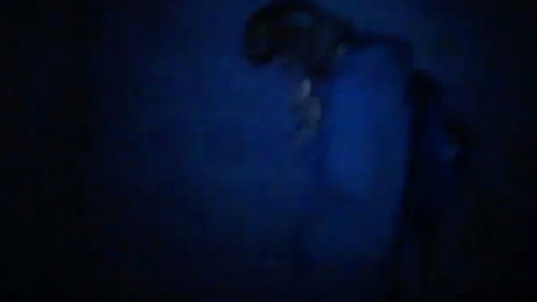 The Jay Monkey Project still 1