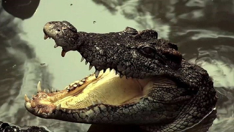 Extinction still 2