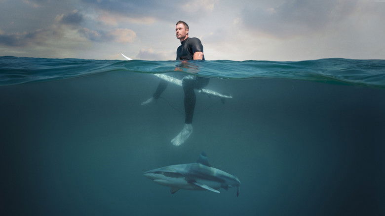 Shark Beach with Chris Hemsworth still 1