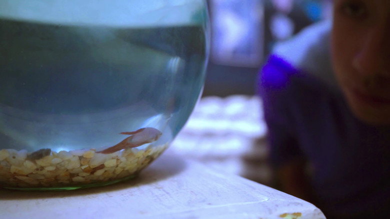 Reflejos del Cielo still 3