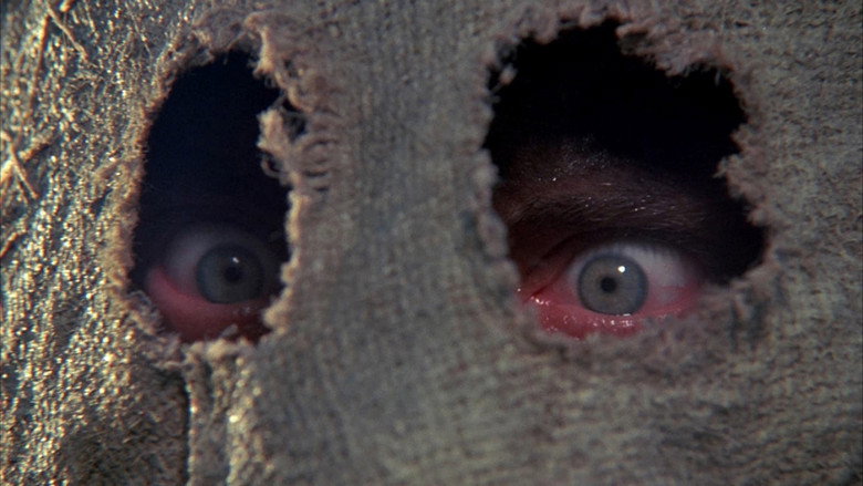 Dark Night of the Scarecrow still 6