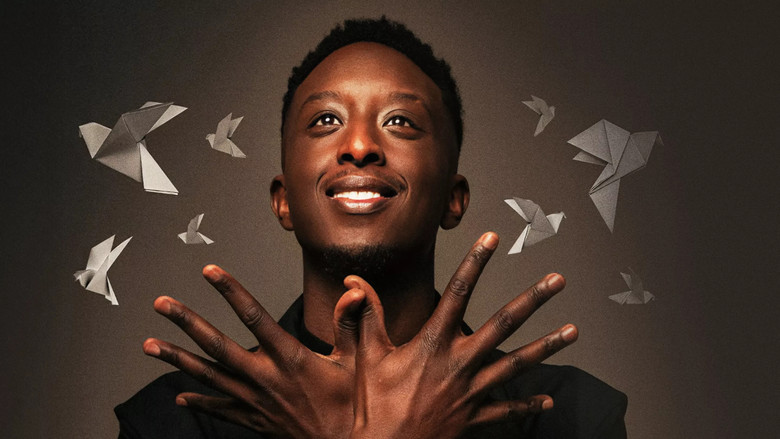Ahmed Sylla - Origami still 2
