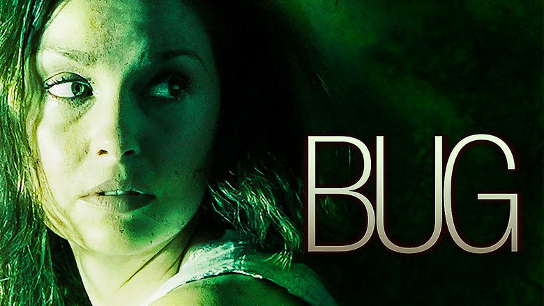 Bug still 8