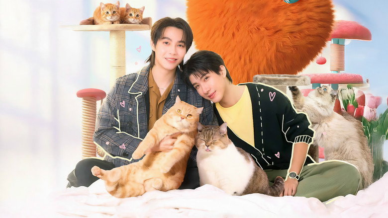 Cat for Cash still 1