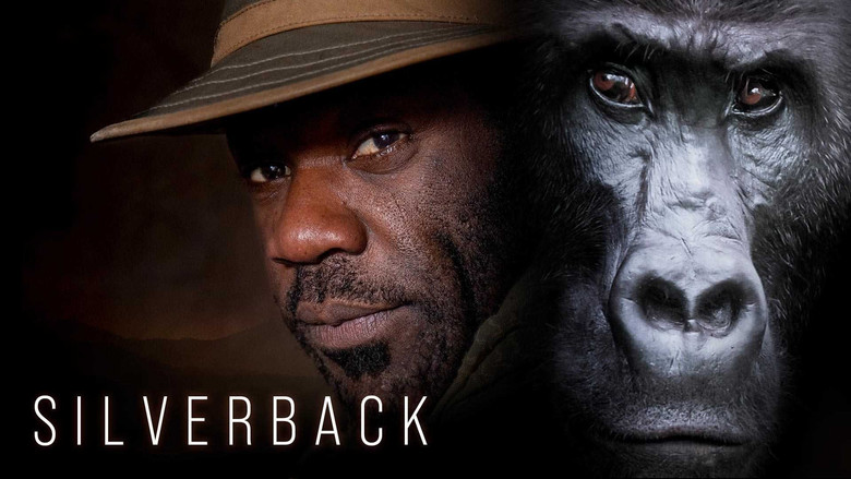 Silverback still 2