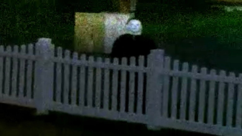 The Lost Footage of Michael Myers still 1