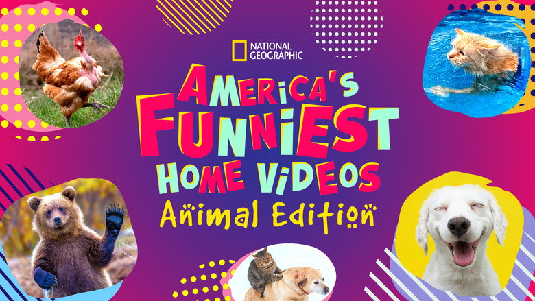 America's Funniest Home Videos: Animal Edition still 6