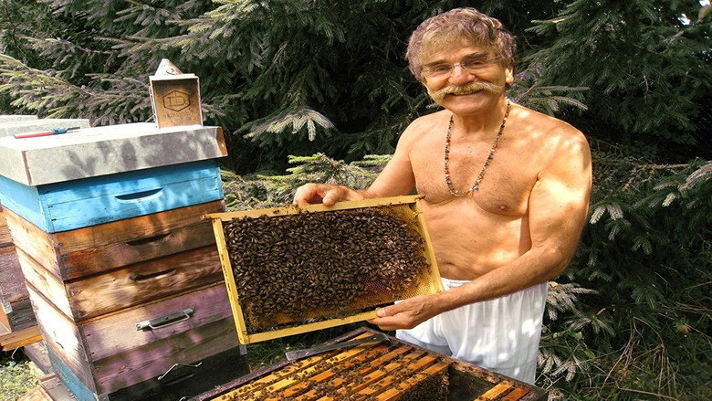 Queen of the Sun: What Are the Bees Telling Us?‎ still 3