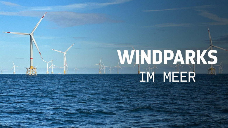 Windparks im Meer - Chance oder Risiko für die Natur? still 2