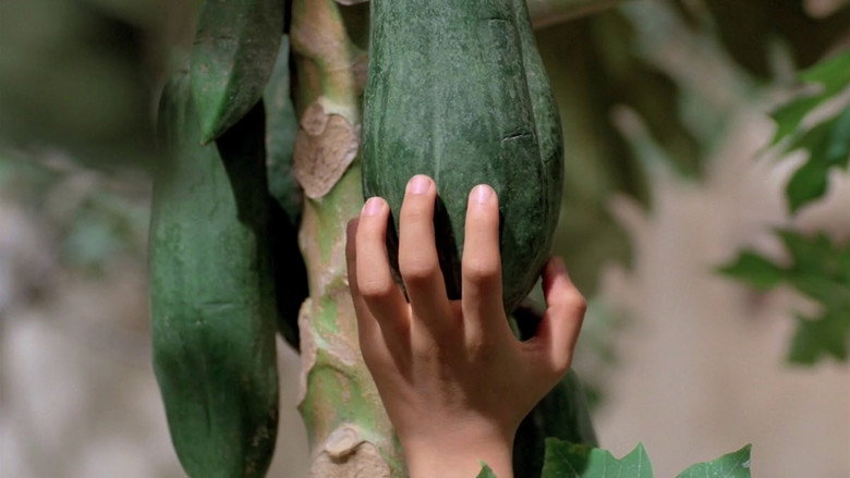 The Scent of Green Papaya still 4