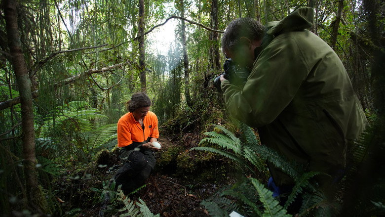 Rare: Creatures of the Photo Ark still 1