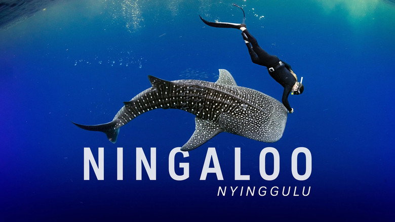 Ningaloo Nyinggulu still 3