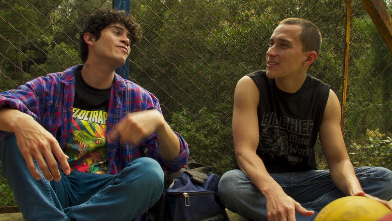 Velociraptor still 2