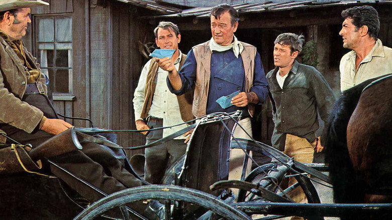 The Sons of Katie Elder still 6