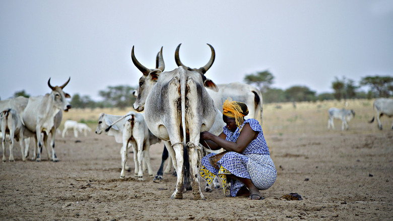 The Milk System still 1