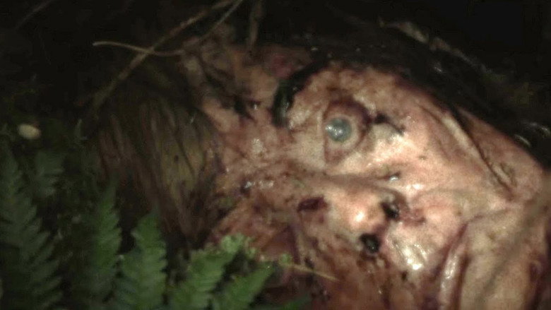 Cold Ground still 2