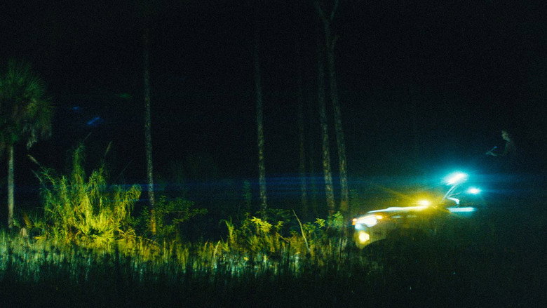 The Python Hunt still 7