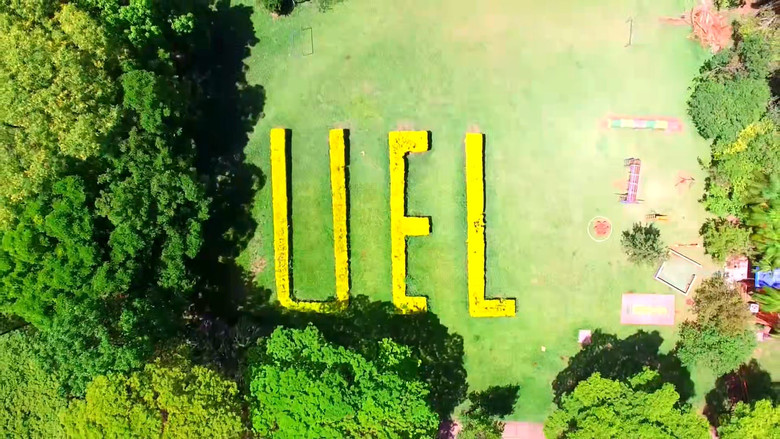 Mosaico: 50 Anos do Curso de Artes Visuais da UEL still 2