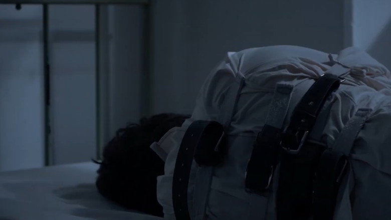 Aurora’s Garden Asylum still 2