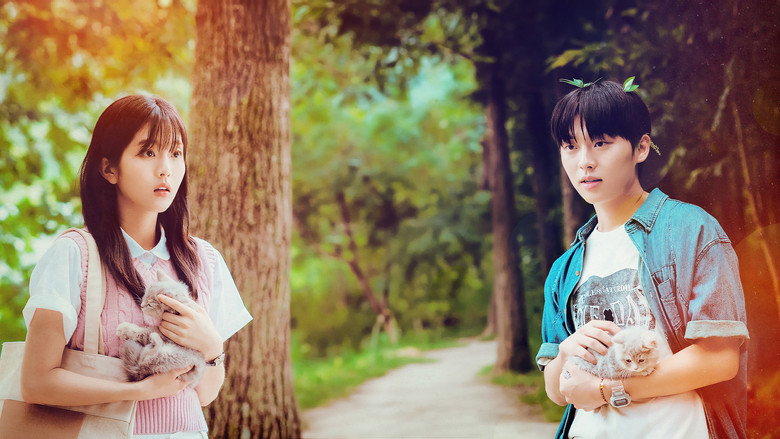 Twinkling Watermelon still 5
