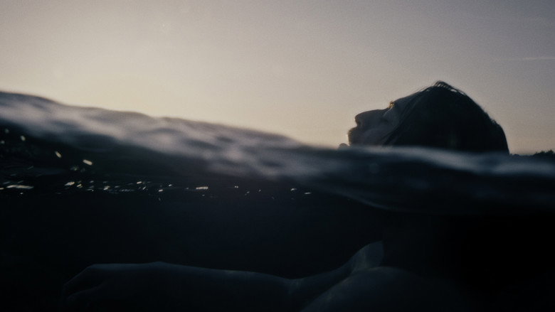 Anche il riccio respira still 1